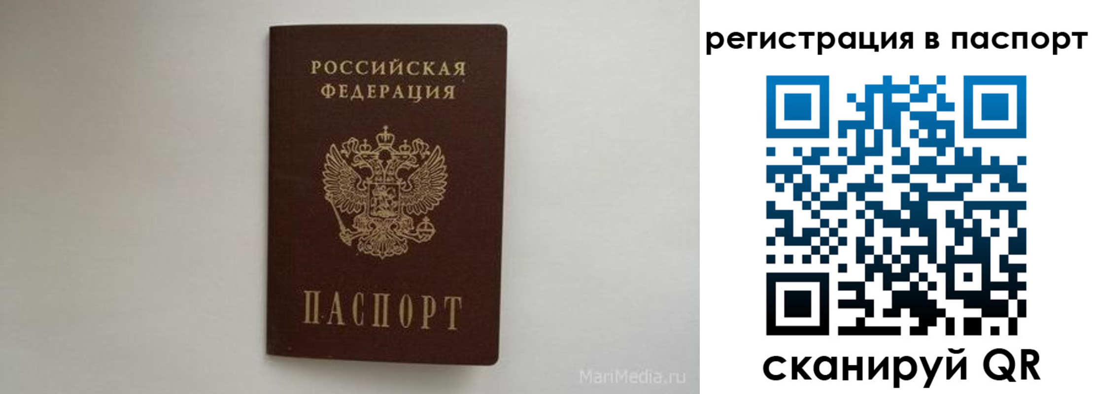 прописка в Архангельской области